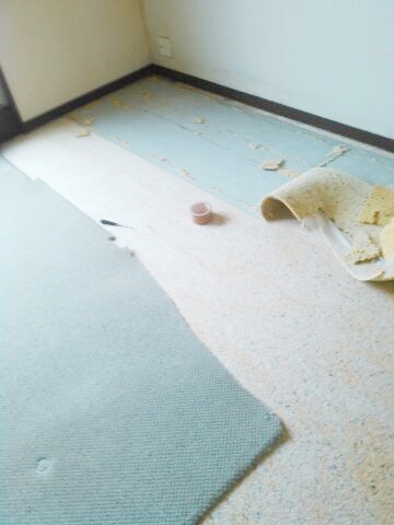 before02.jpg