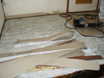 img1_2.jpg
